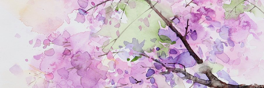 MayraCr13's profile banner image