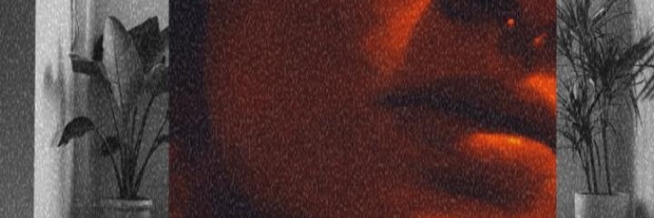 luizadiaas2's profile banner image