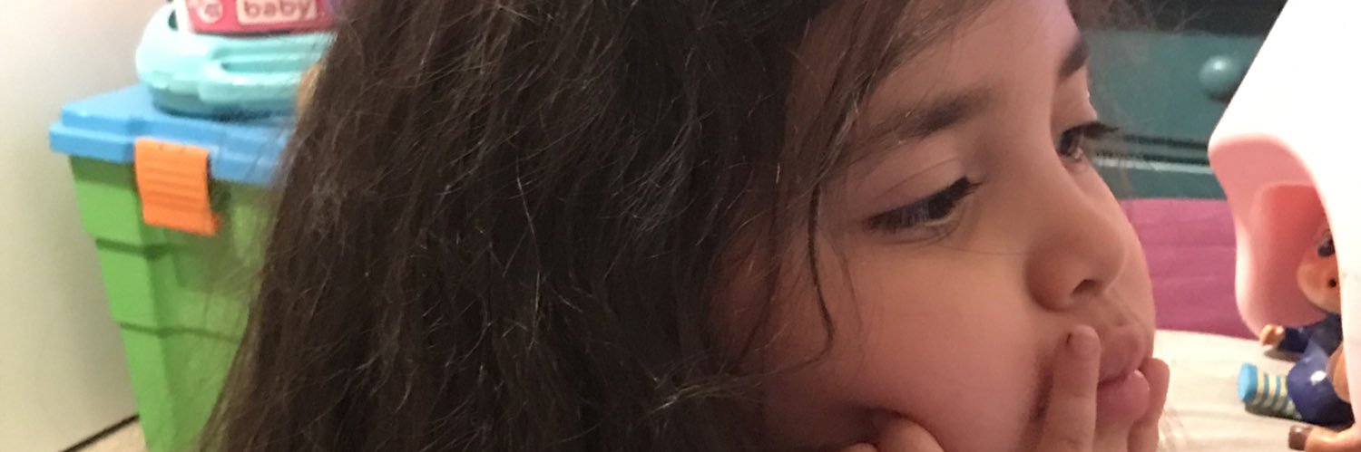 roymaipu's profile banner image