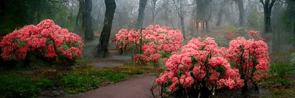 aaronf00 Profile Banner