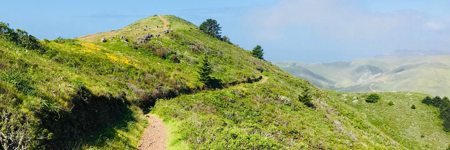 Carla Bourque banner