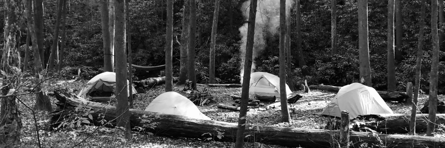 🌲 Jason Sosnovsky 🌲 banner