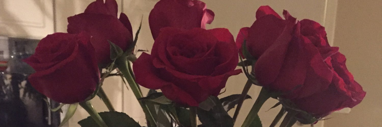 angiemjared1's profile banner image
