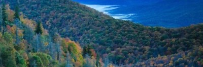 Scott 🇺🇸 banner