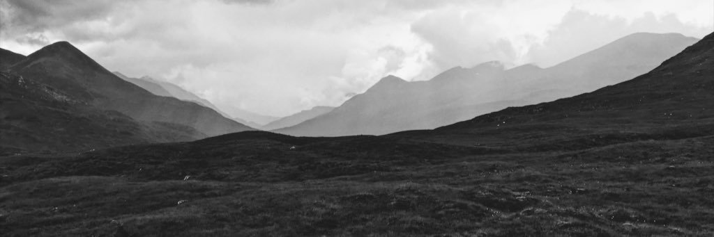 Amy Warren banner