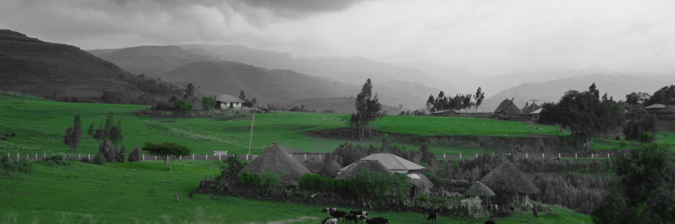 Jonathan Colasanti banner