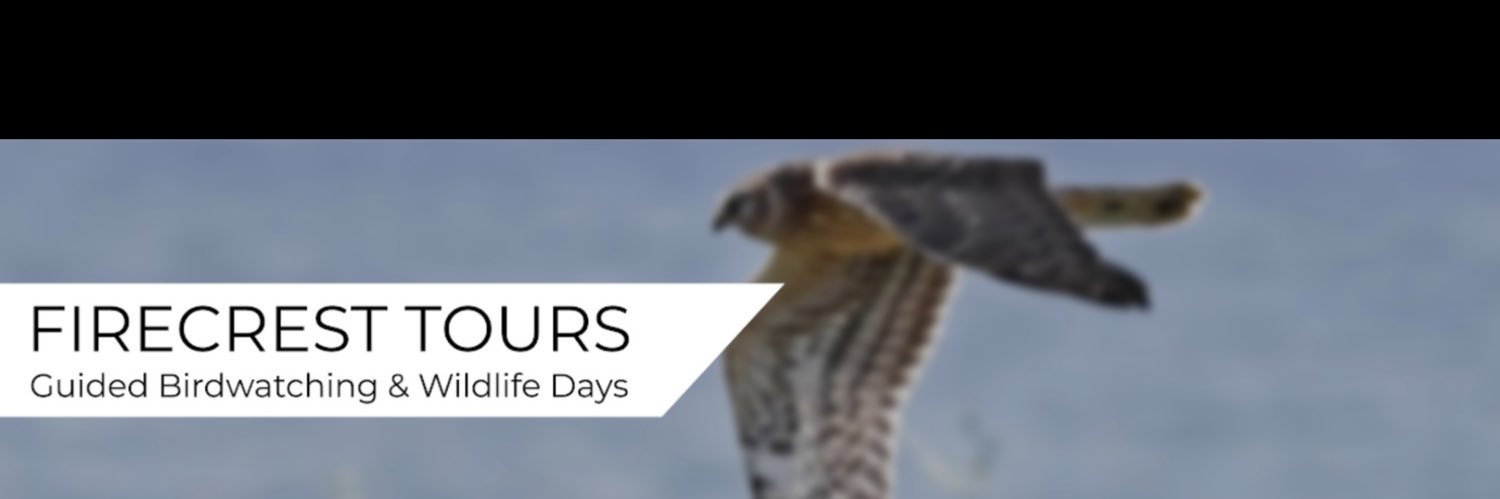 FIRECREST TOURS : Wildlife & Bird Guides banner