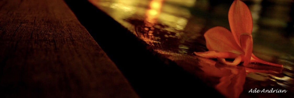 ndetitik's profile banner image