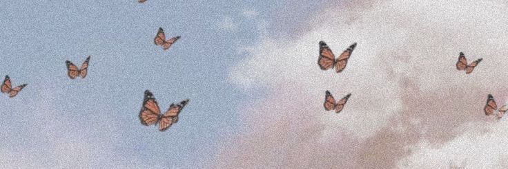 andreaPs99's profile banner image