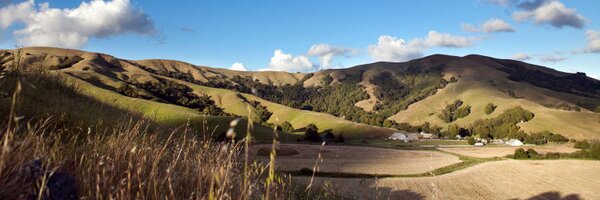 MALT_AG Profile Banner