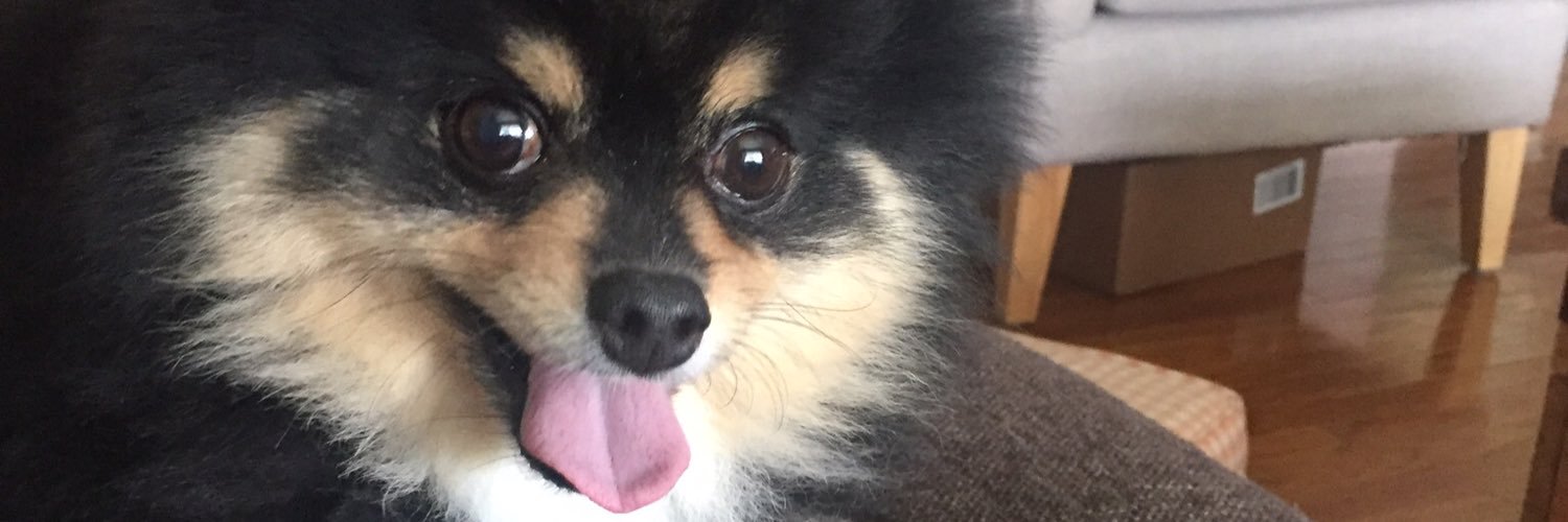 gruddy123's profile banner image