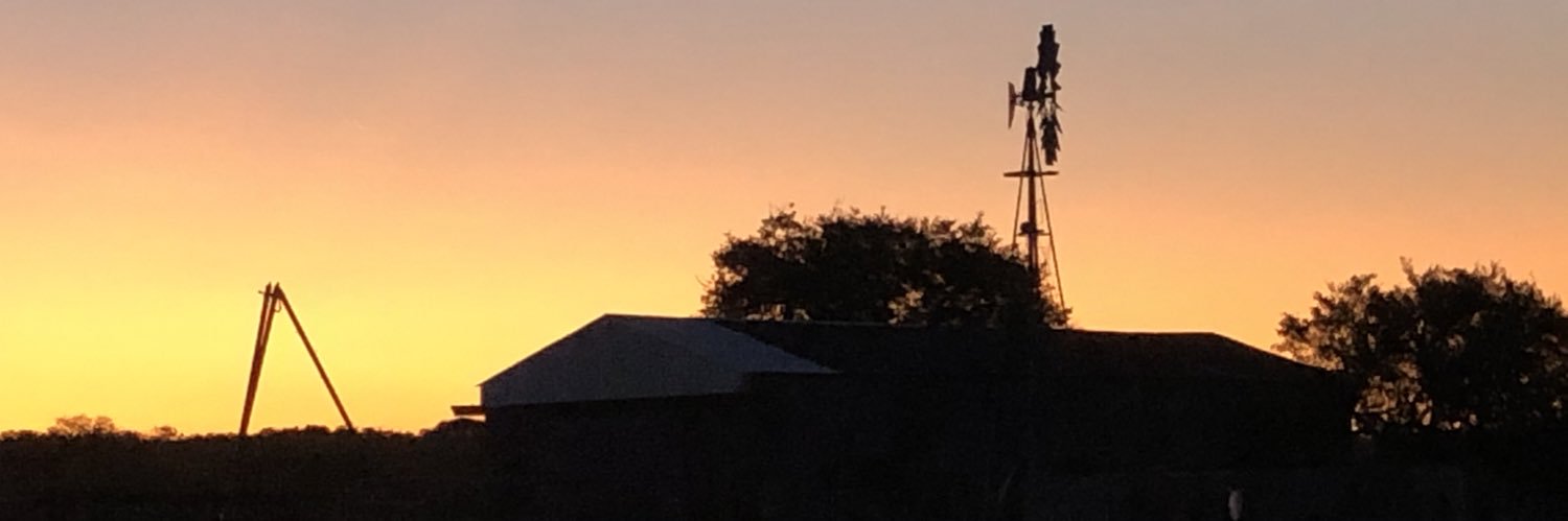 fran_correa9's profile banner image