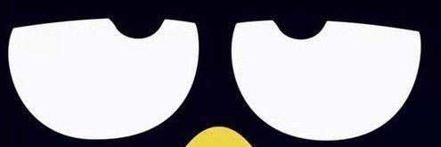 VV banner