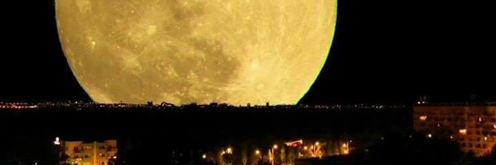 kikadechile's profile banner image
