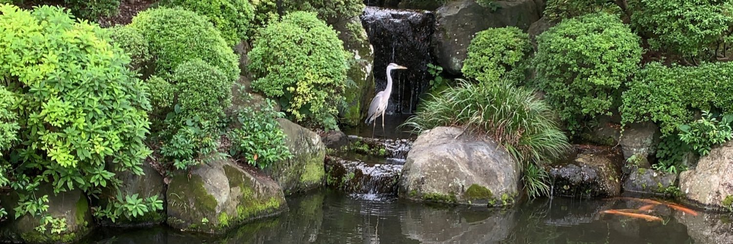 坂本光正/ Mick Sakamoto banner