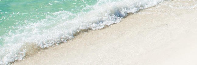 gwendolyn bouchie banner