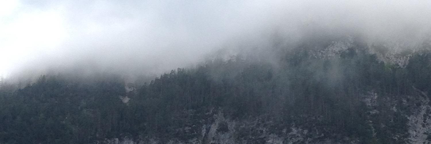 bebehindi_'s profile banner image