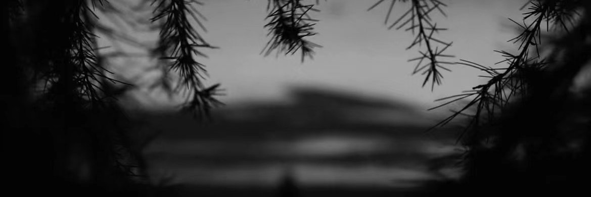 0xyyc banner