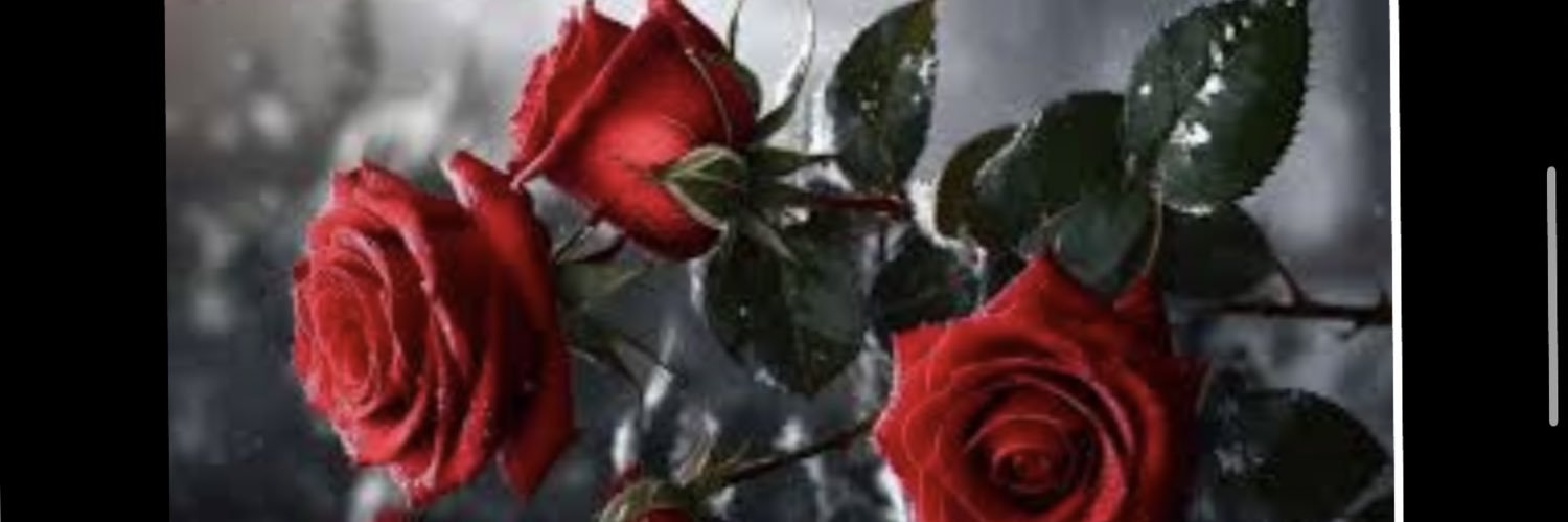 kaled017's profile banner image