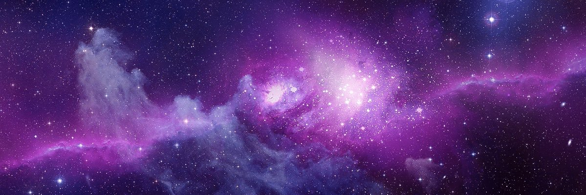 Erika Vilches banner