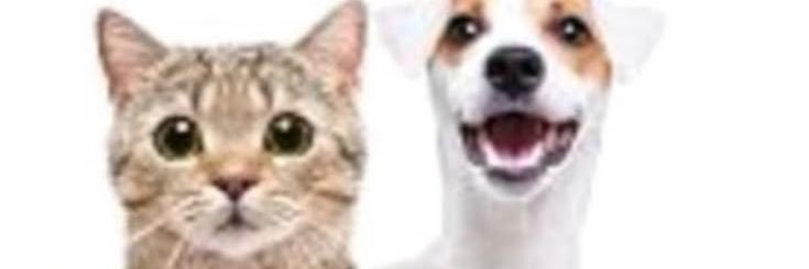 rash banner