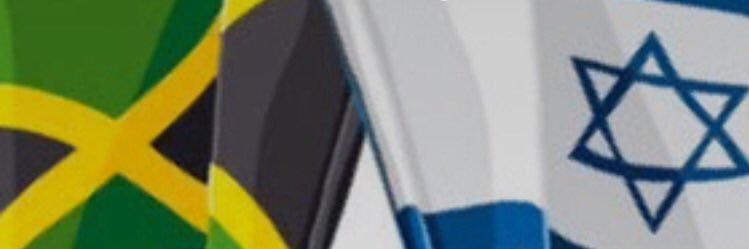 MashugunaMon's profile banner image