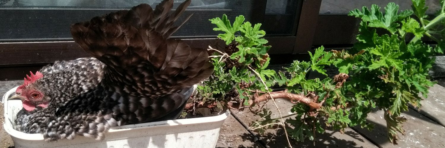PIY0145's profile banner image