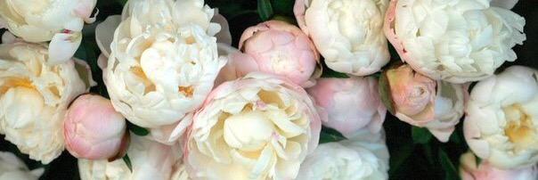 LauraGeorgiana's profile banner image