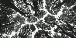 austinmta_gdr's profile banner image