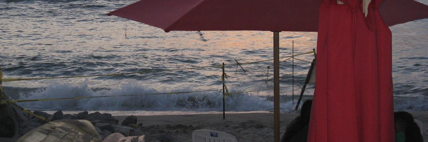 Bernie Santos banner