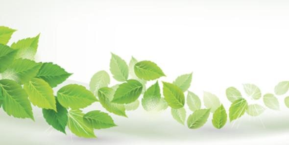 LiveCleanCan's profile banner image
