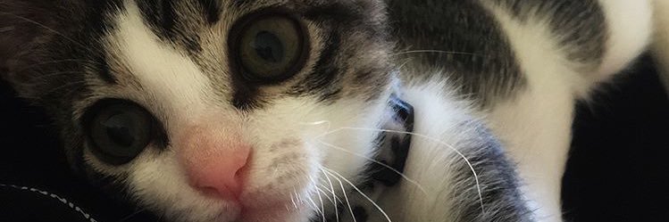 tugceeuzunerr's profile banner image