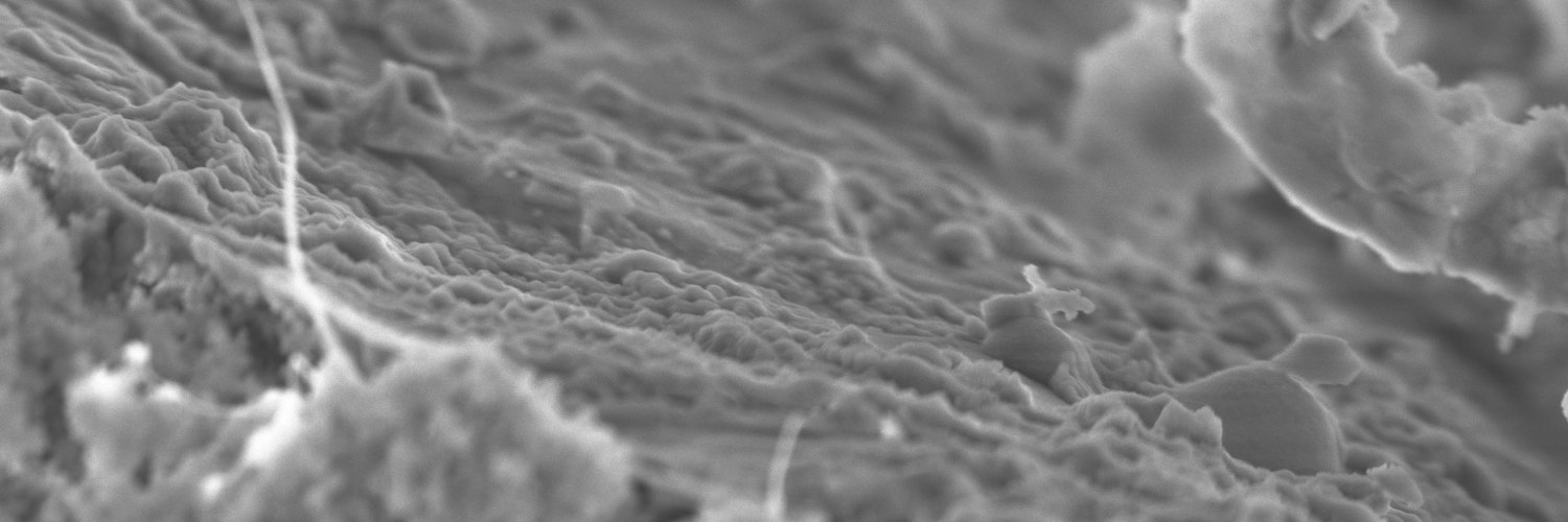 Cements@Sheffield banner