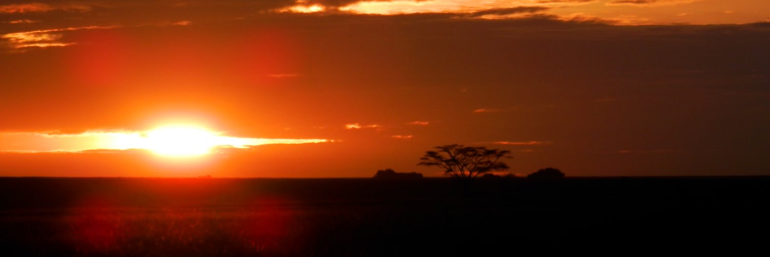 AnnaTree's profile banner image