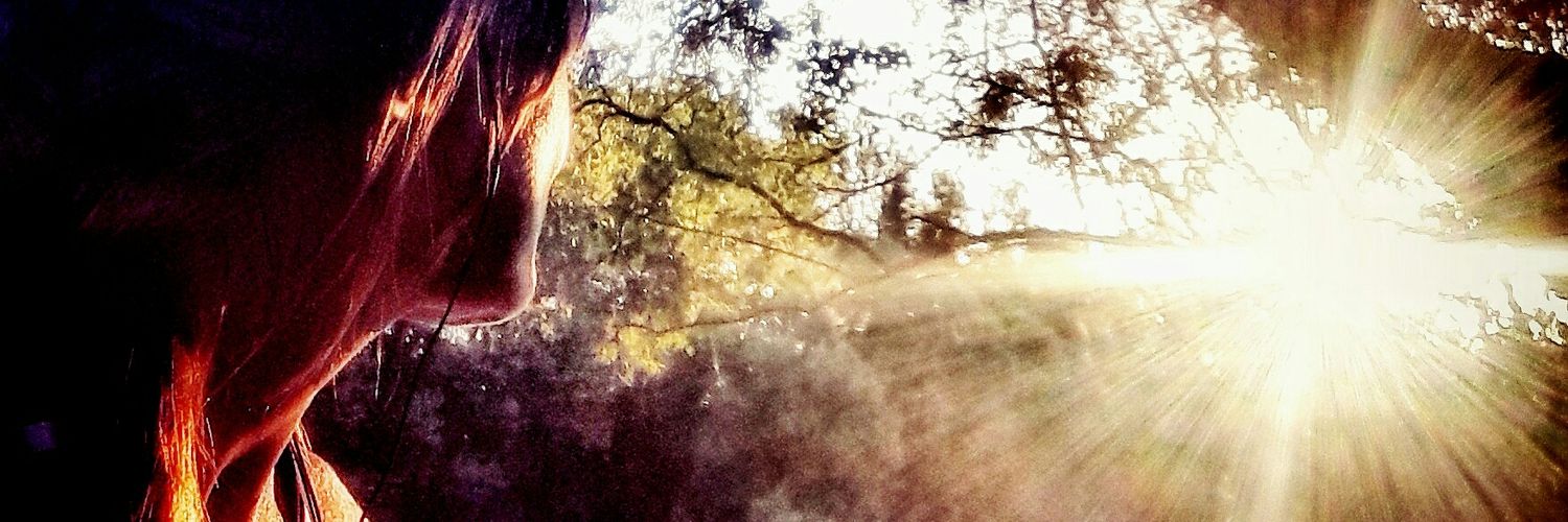 Eva_Trias's profile banner image