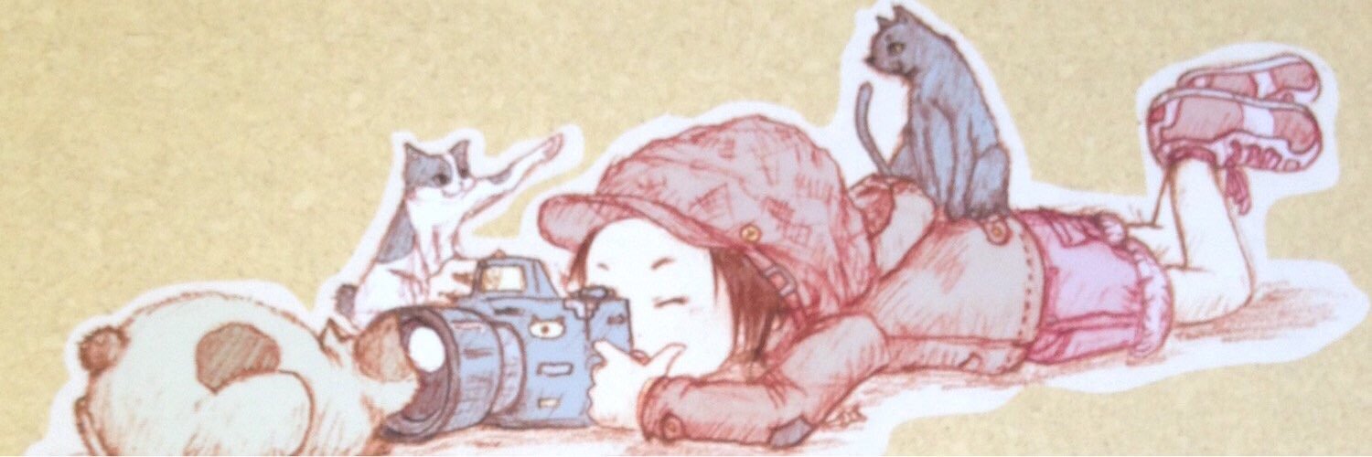 tanashu22's profile banner image