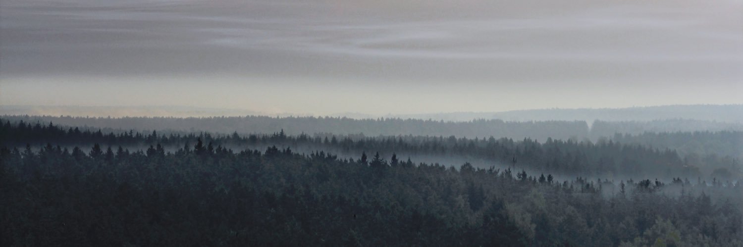 davidjscawn's profile banner image
