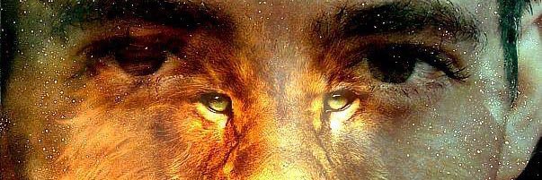 Adån Universal ∞ banner