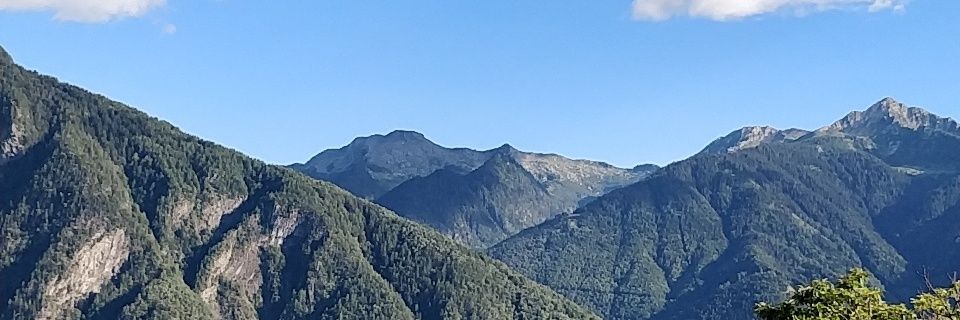 Thomas Humphreys banner