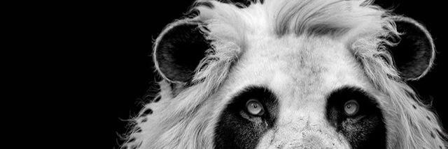 ColdLampin's profile banner image