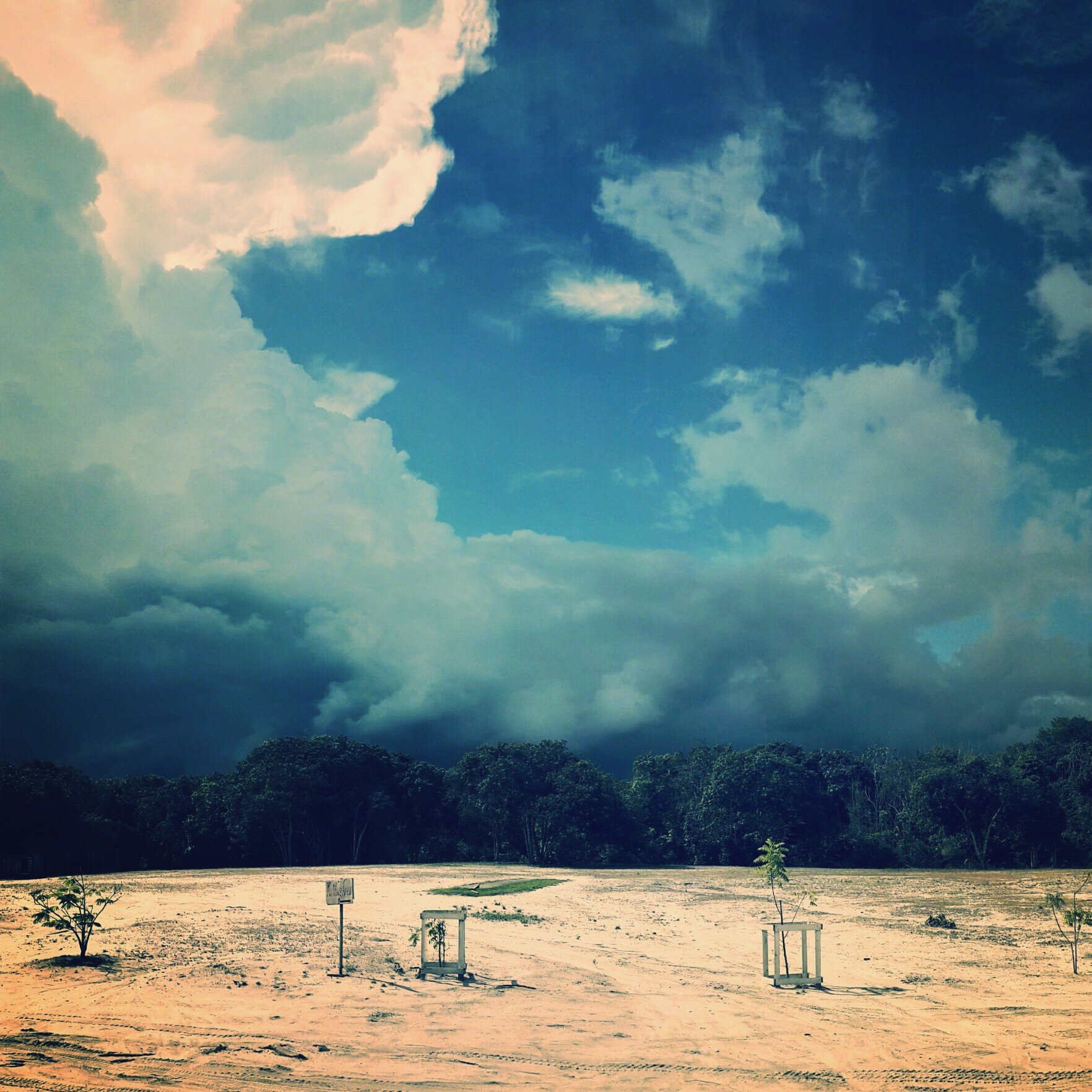 Bonobo_Jones's profile banner image