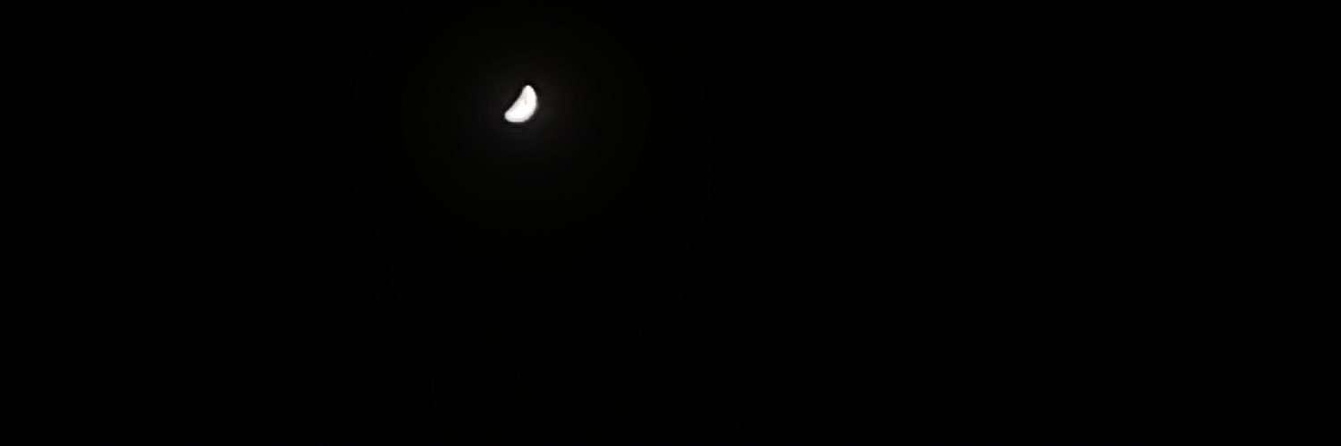 snlmysn2's profile banner image