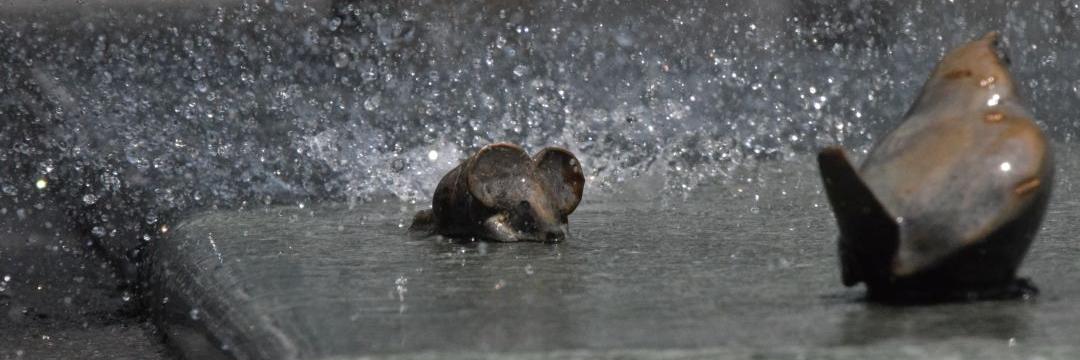 Bleichenblues banner