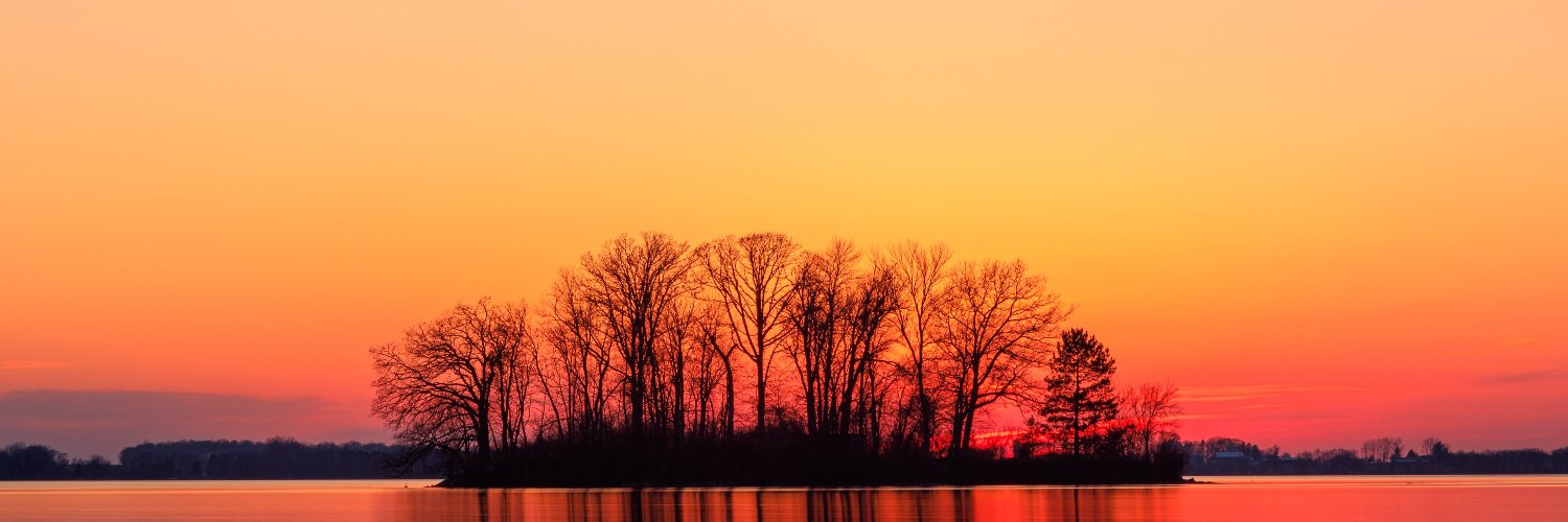 dexnion delona banner