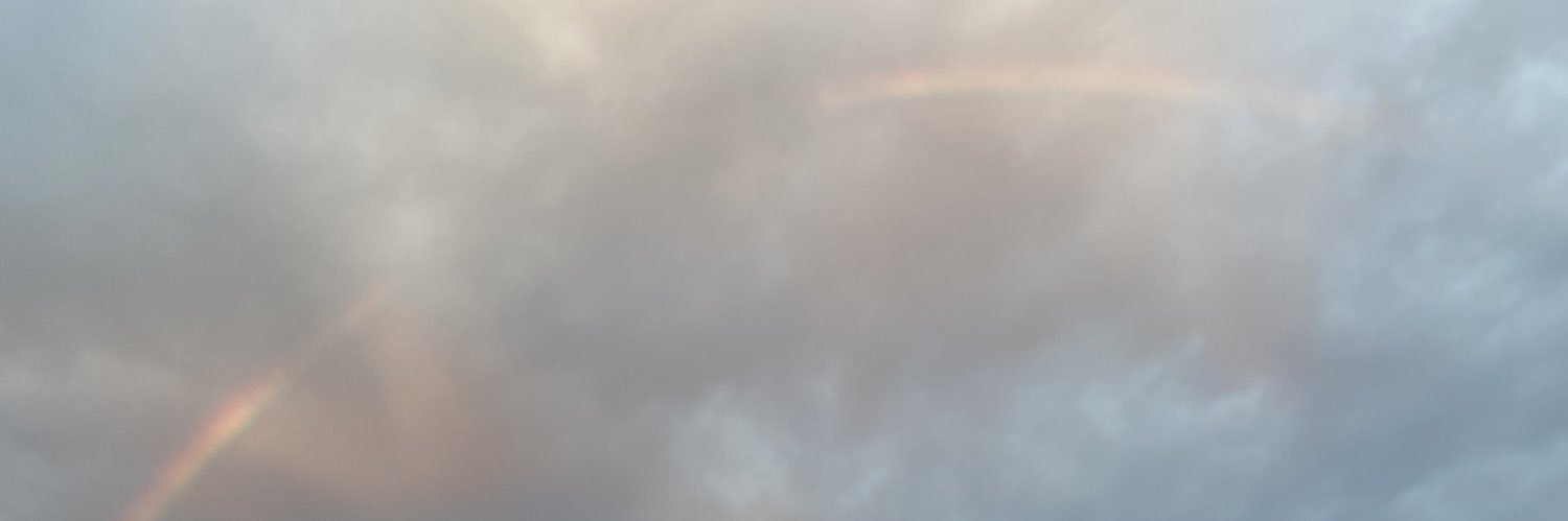 MorganBronner's profile banner image