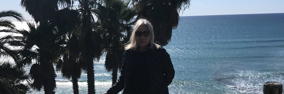Linda Fritz's banner