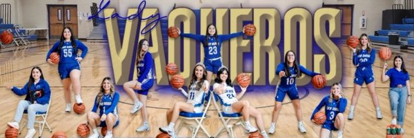 SDLVbball Profile Banner