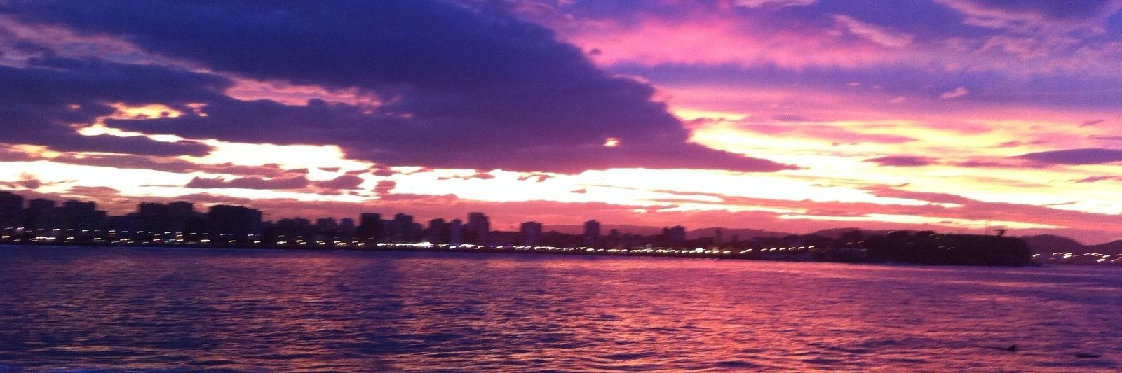 Paula Prendes banner