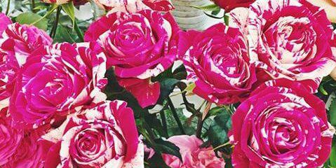 keythSandoval_'s profile banner image