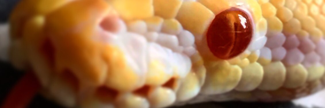 deanobankz's profile banner image